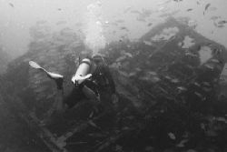 Dive Aruba's Clive Paula explores the wreck of the Antill... by Matthew Shanley 